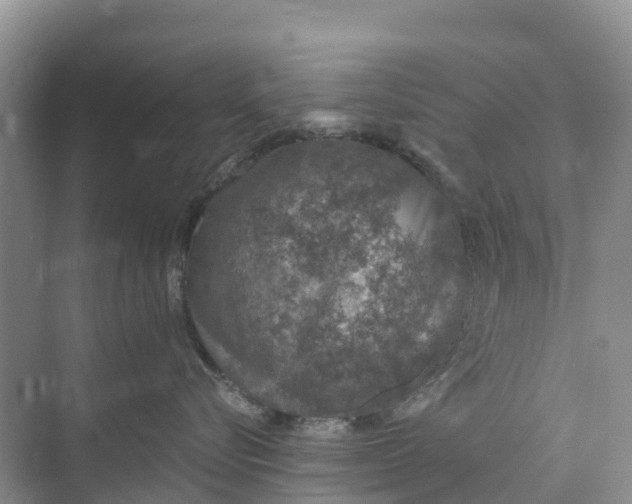 X0000074960576200609152100