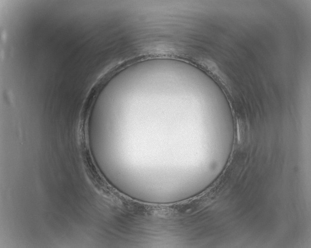 X0000074960579200609152059