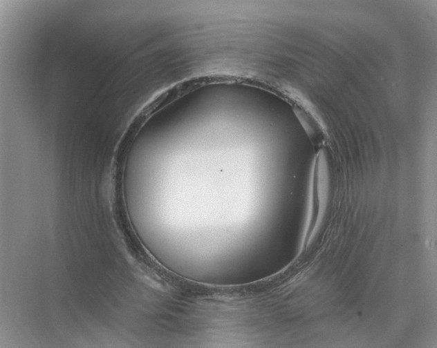 X0000074960580200609152059