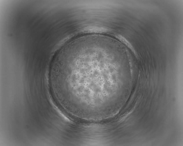 X0000074960581200609152059