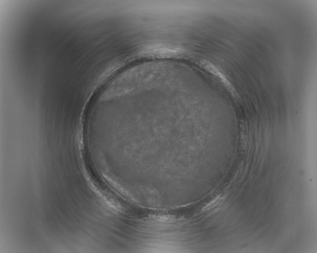 X0000074960582200609152059