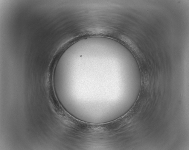 X0000074960583200609152059