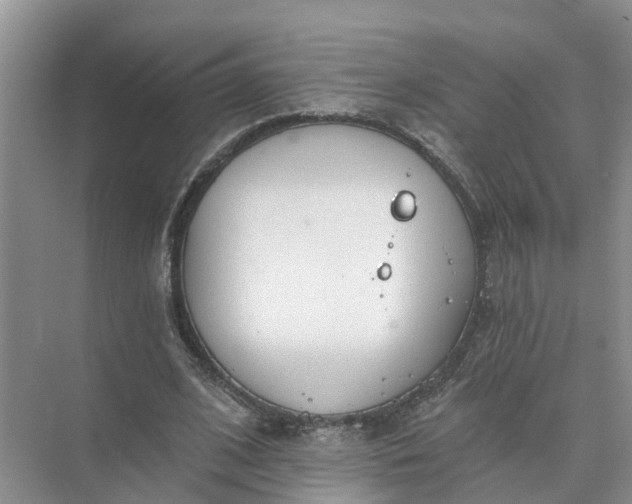 X0000074960584200609152059