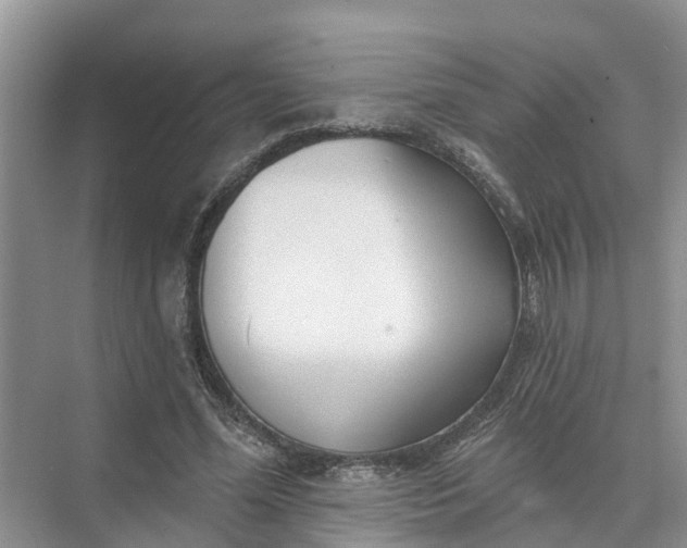 X0000074960588200609152059