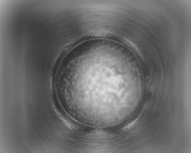 X0000074960589200609152059