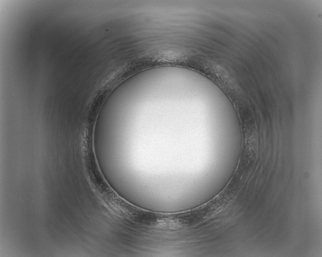 X0000074960591200609152058