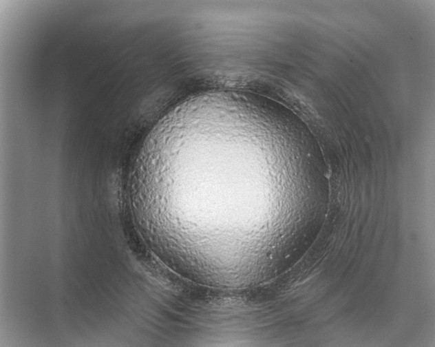 X0000074960594200609152058