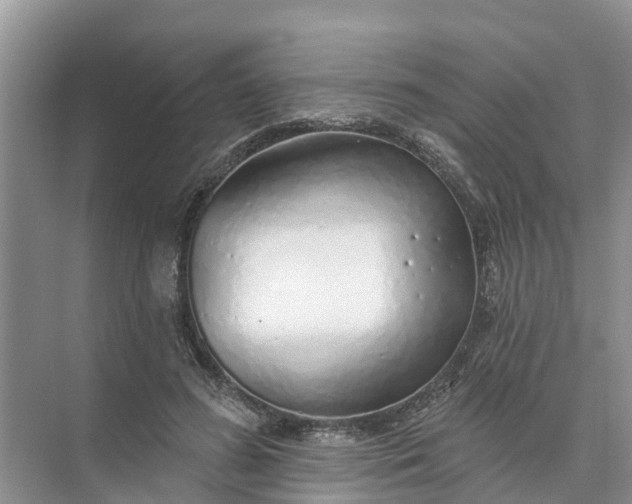 X0000074960596200609152058