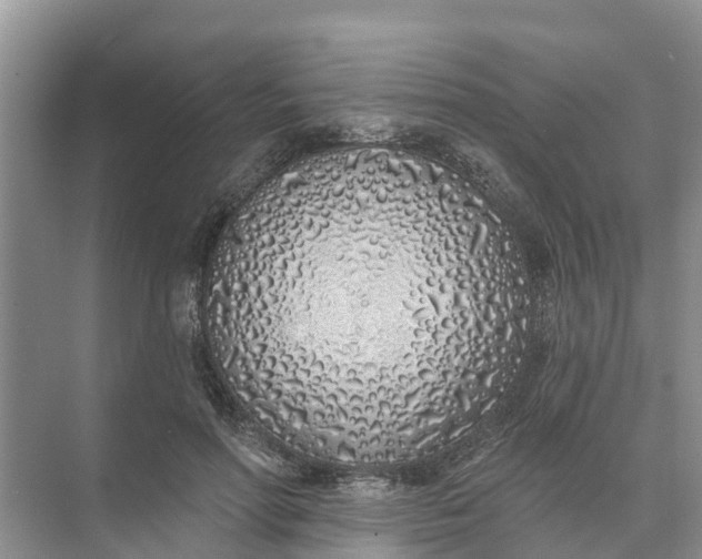 X0000074960598200609152058