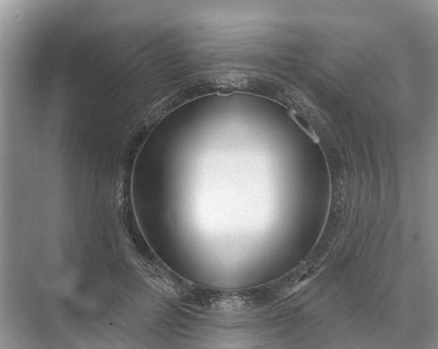 X0000074960600200609152058