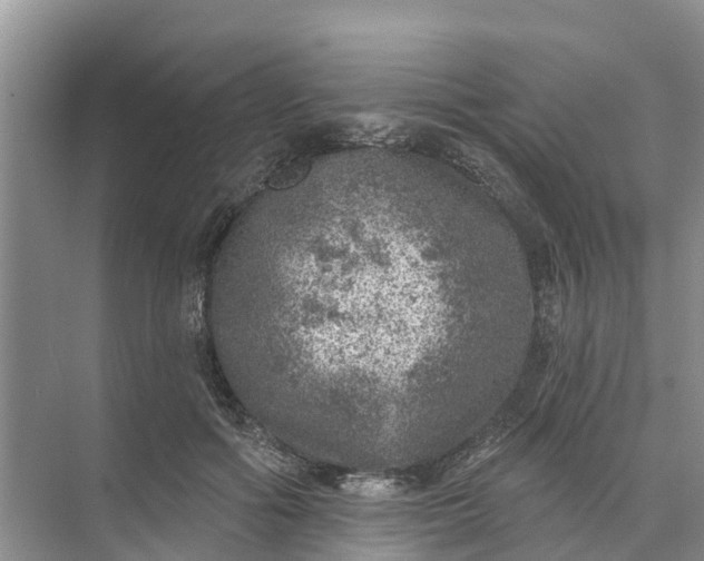 X0000074960602200609152058