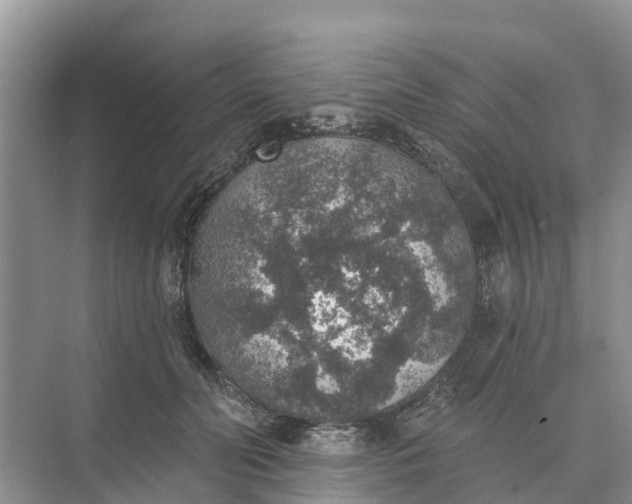 X0000074960606200609152058