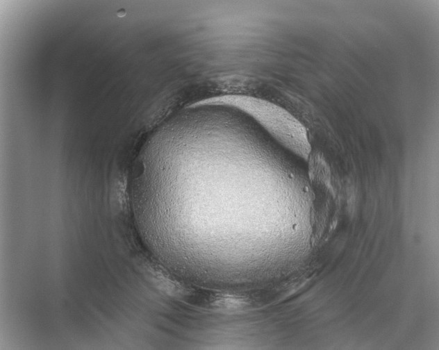 X0000074960610200609152058