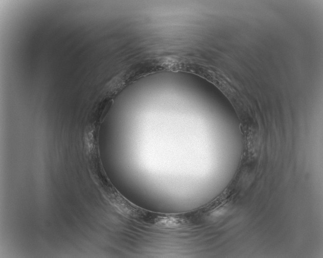 X0000074960611200609152058