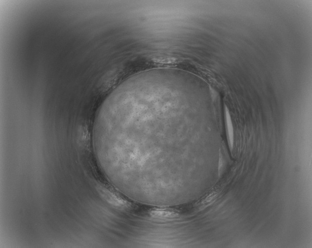 X0000074960614200609152058