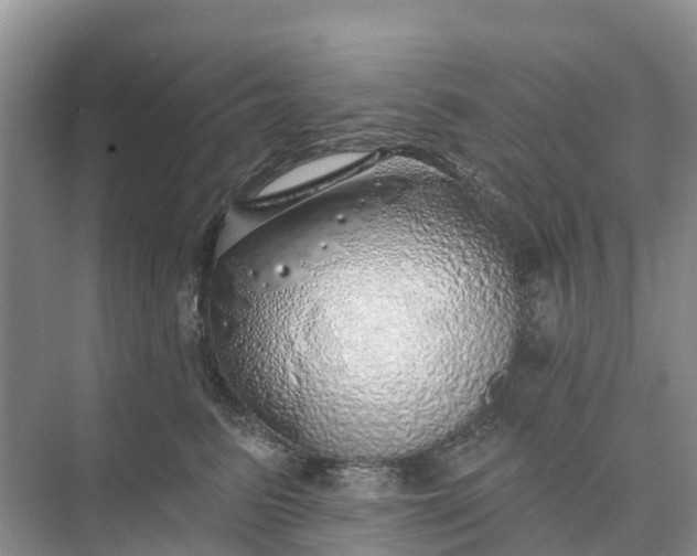 X0000074960615200609152058