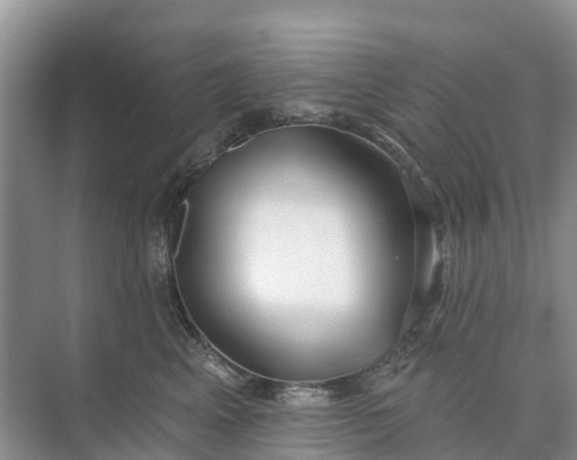 X0000074960617200609152058