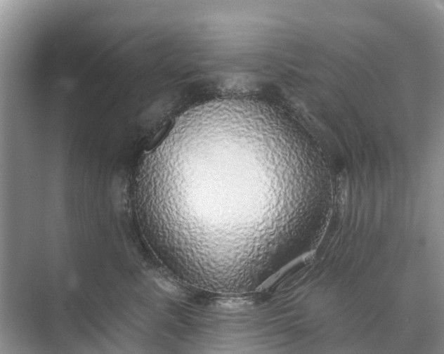 X0000074960619200609152058