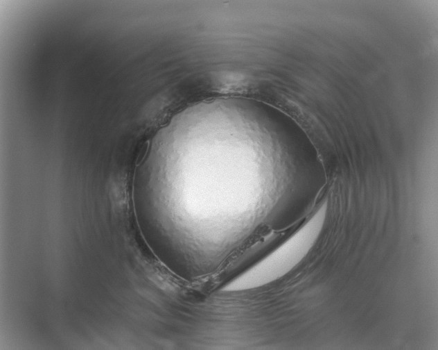 X0000074960620200609152058