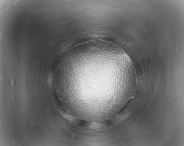 X0000074960623200609152058