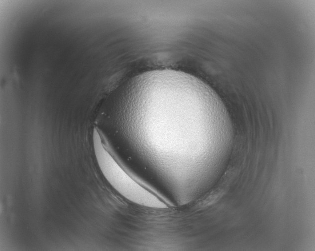 X0000074960624200609152058