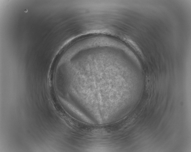 X0000074960628200609152057