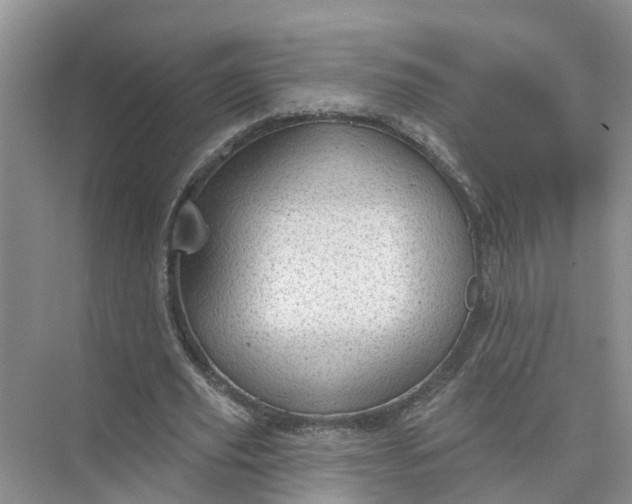 X0000074960629200609152057