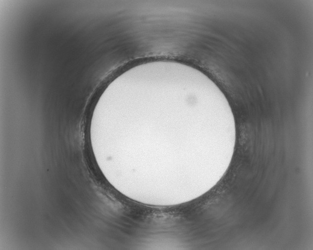 X0000074960632200609152057