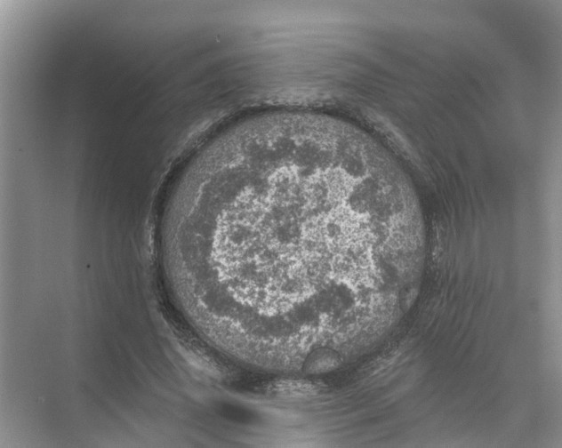 X0000074960636200609152057