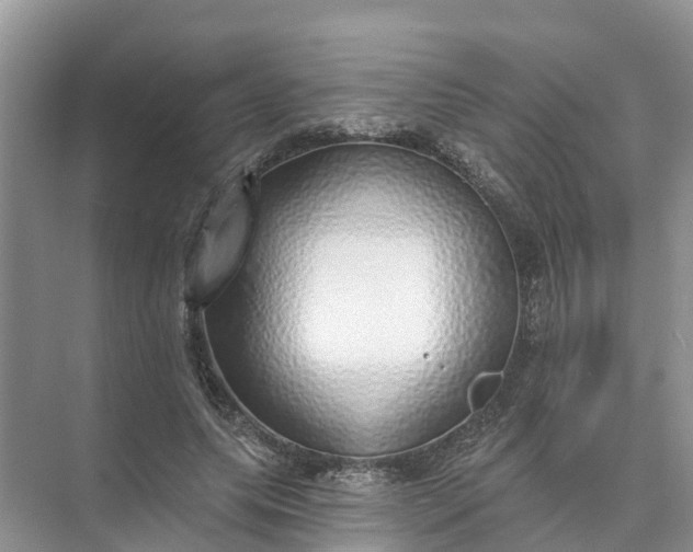 X0000074960639200609152057