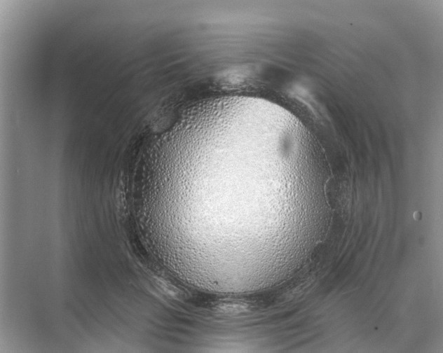 X0000074960653200609152058