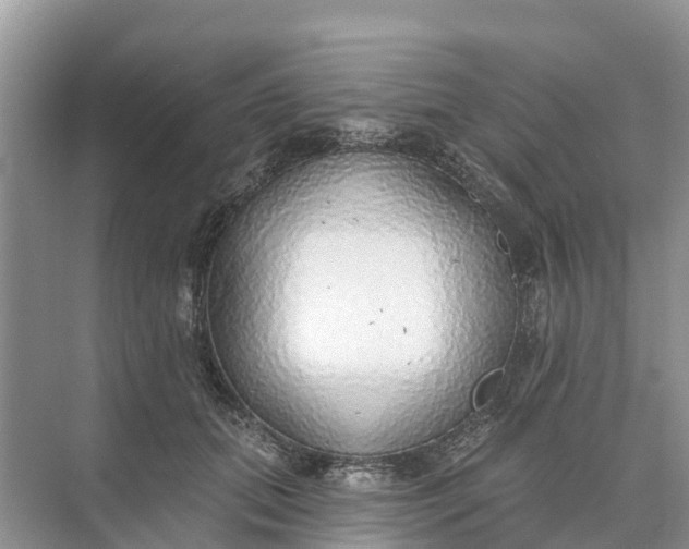 X0000074960655200609152058