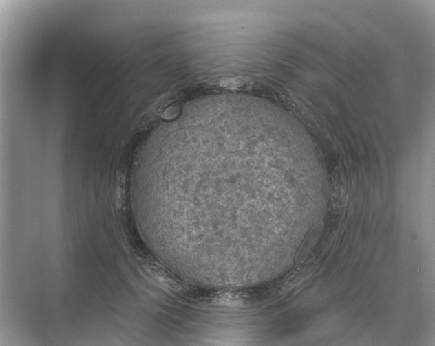 X0000074960656200609152058