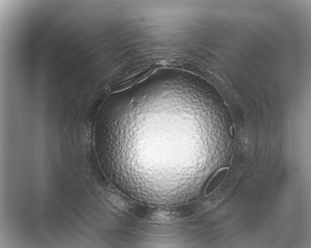 X0000074960657200609152058