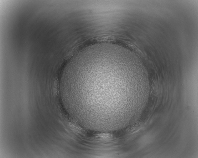 X0000074960659200609152058