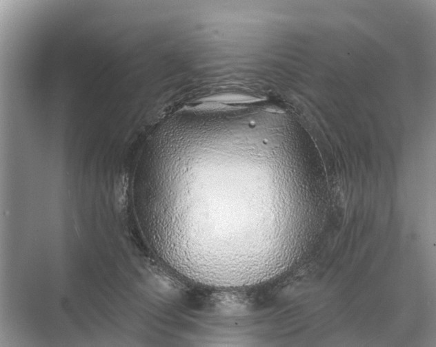 X0000074960660200609152058