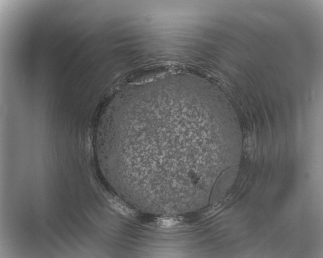 X0000074960662200609152058