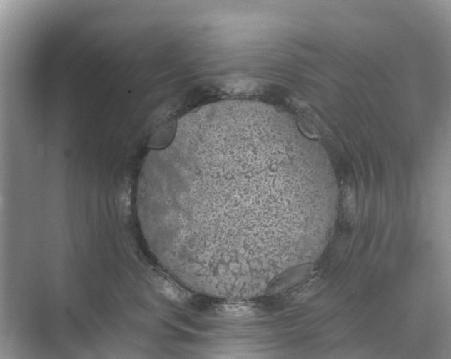 X0000074960668200609152058