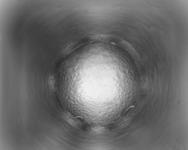 X0000074960669200609152058