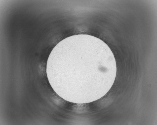 X0000074960672200609152058