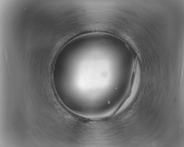 X0000074960673200609152057