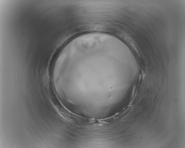 X0000074960674200609152057