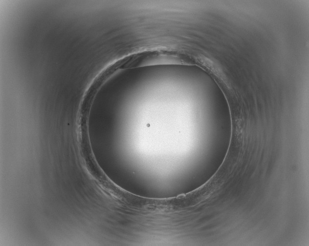 X0000074960676200609152057