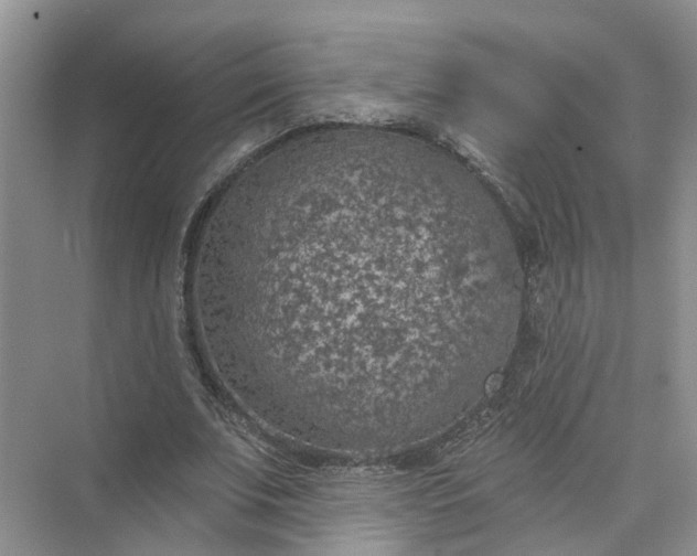 X0000074960679200609152057