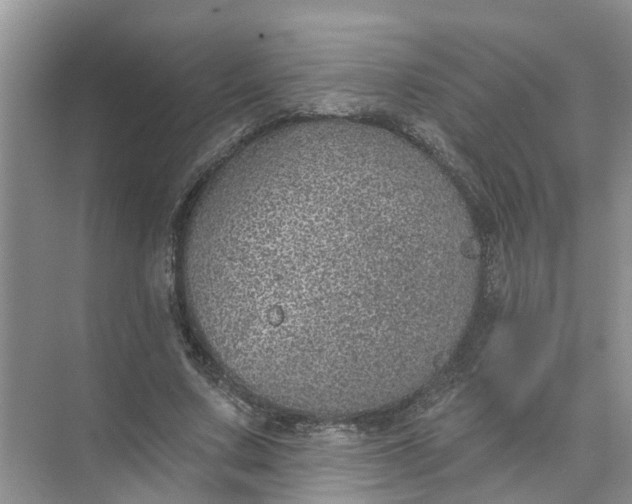 X0000074960683200609152057