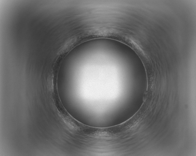 X0000074960685200609152057