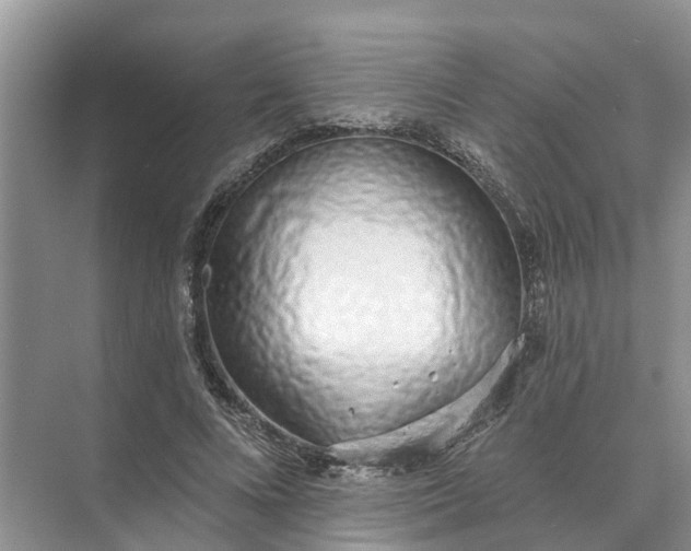 X0000074960688200609152057