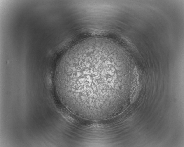 X0000074960691200609152057