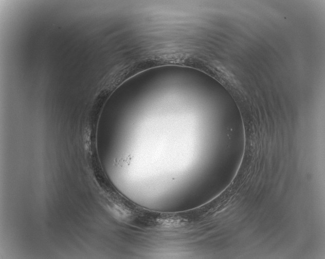 X0000074960693200609152057