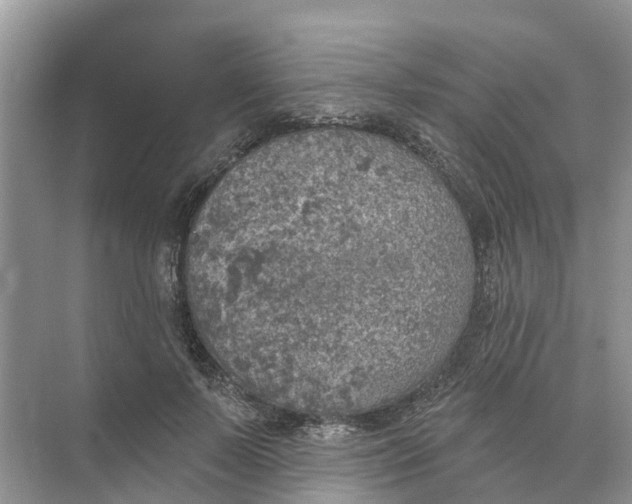 X0000074960695200609152057